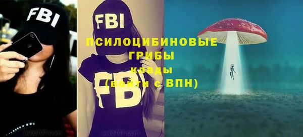 круглые Арсеньев
