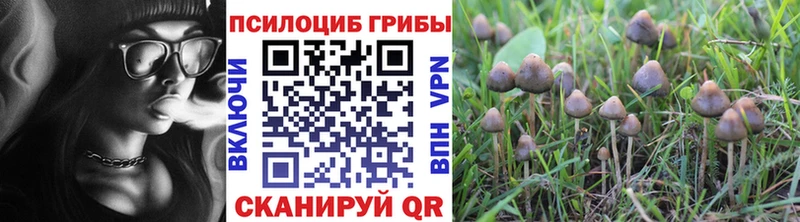 мориарти как зайти  Нязепетровск  Псилоцибиновые грибы Psilocybe 